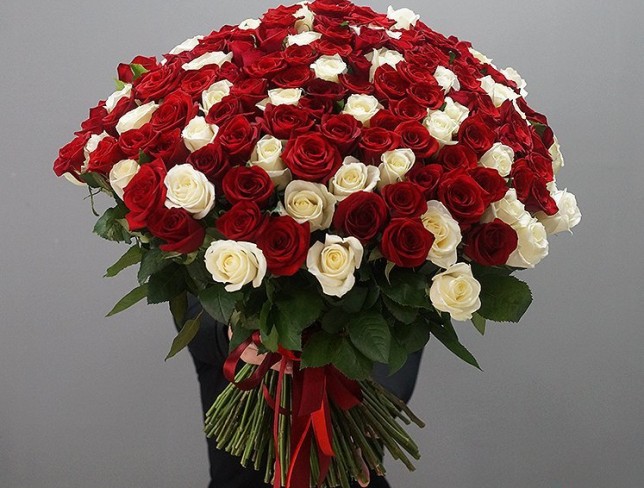 Букет из 151 красно-белой голландской розы 50-60 см Фото